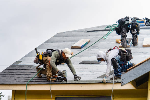 Professional Gutter Installation technician working in Lyman, WA